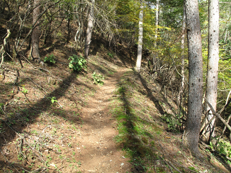 20171012hike (122)